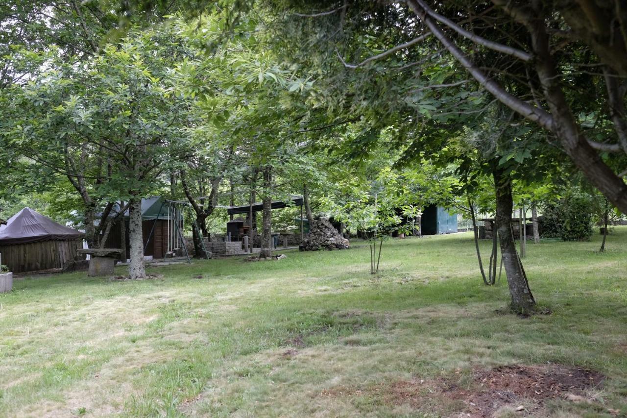 Casa Do Aido De Cima Βίλα Vale de Cambra Εξωτερικό φωτογραφία