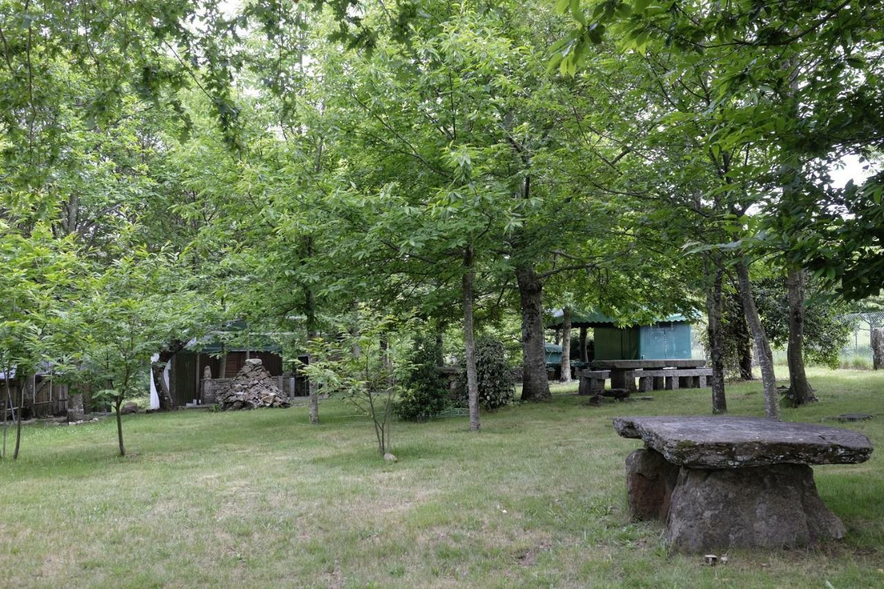 Casa Do Aido De Cima Βίλα Vale de Cambra Εξωτερικό φωτογραφία
