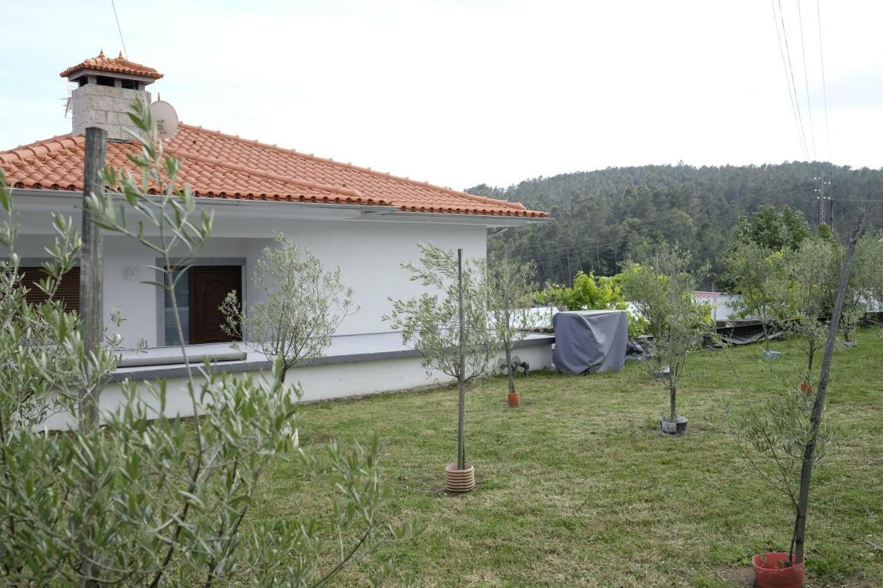 Casa Do Aido De Cima Βίλα Vale de Cambra Εξωτερικό φωτογραφία