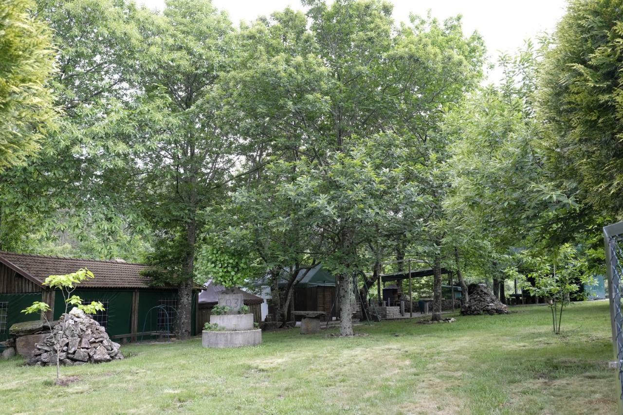 Casa Do Aido De Cima Βίλα Vale de Cambra Εξωτερικό φωτογραφία